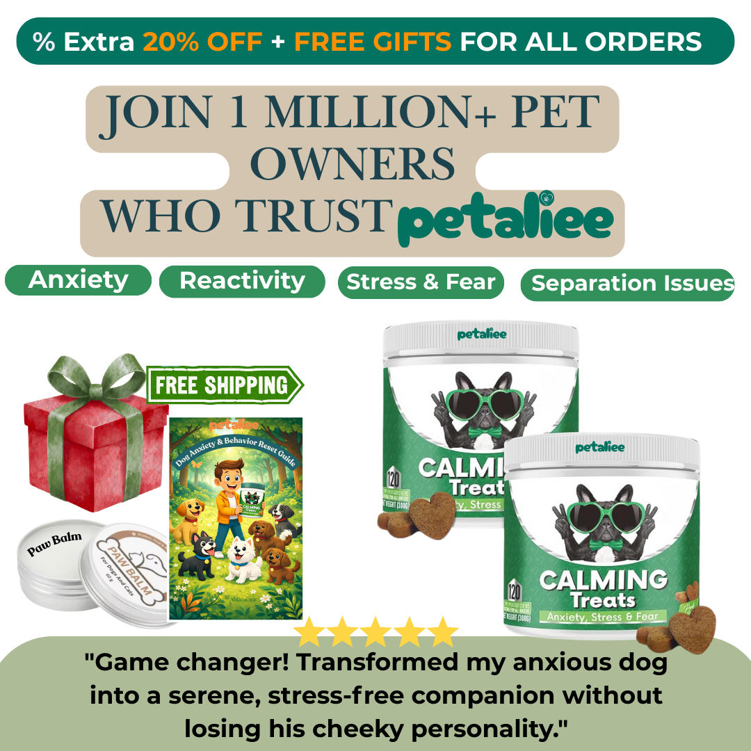 120 tasty calming treats for stress, anxiety & fear