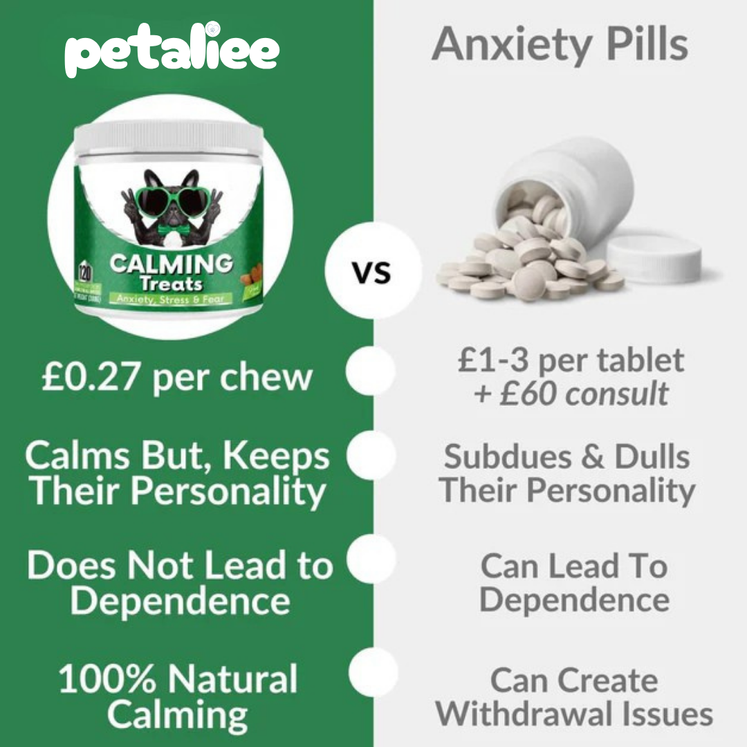 120 tasty calming treats for stress, anxiety & fear