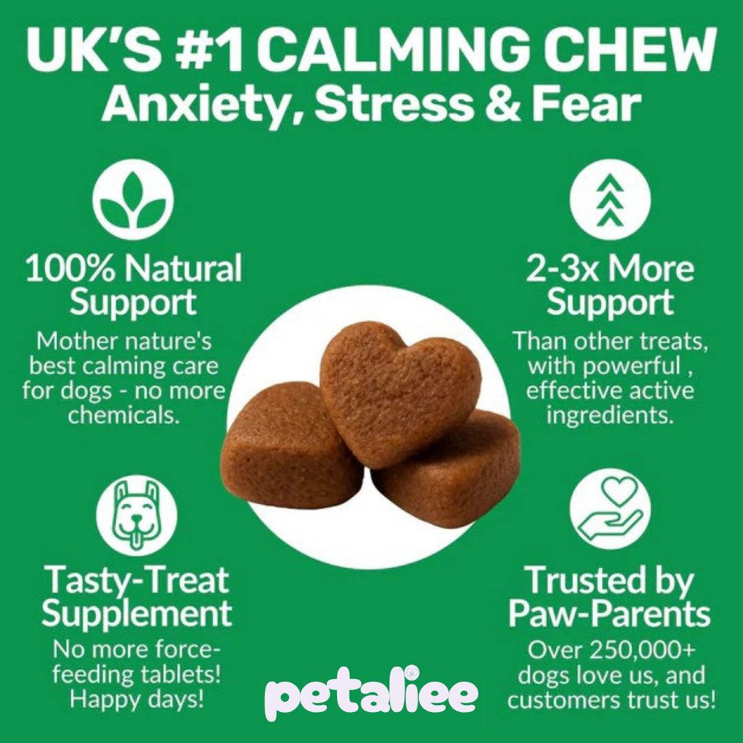 120 tasty calming treats for stress, anxiety & fear