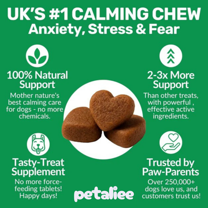 120 tasty calming treats for stress, anxiety & fear