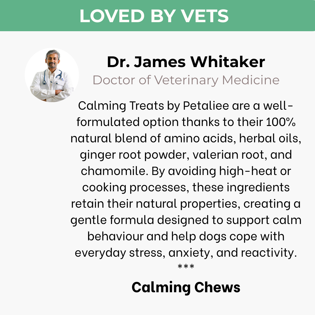 120 tasty calming treats for stress, anxiety & fear