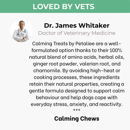 120 tasty calming treats for stress, anxiety & fear