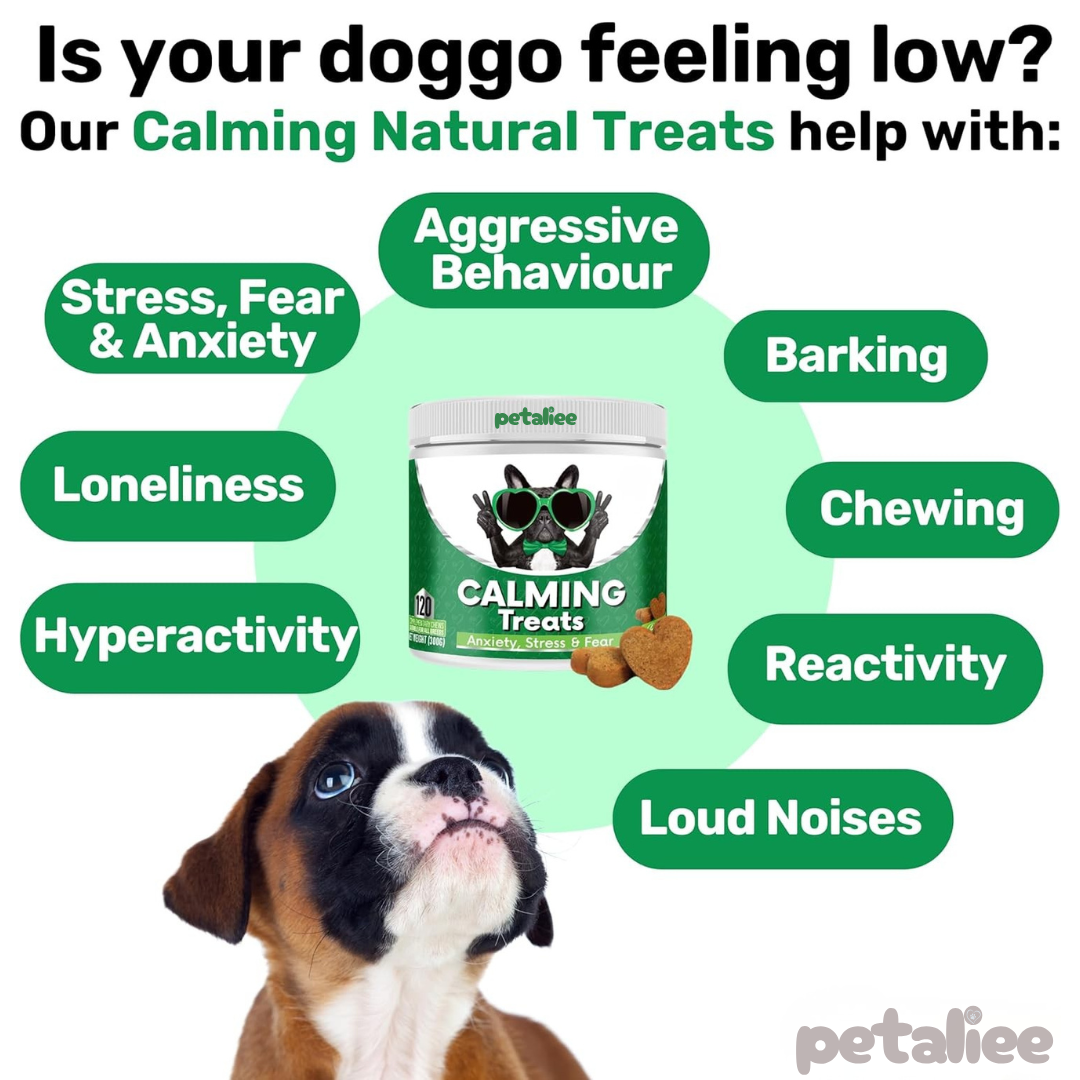 120 tasty calming treats for stress, anxiety & fear