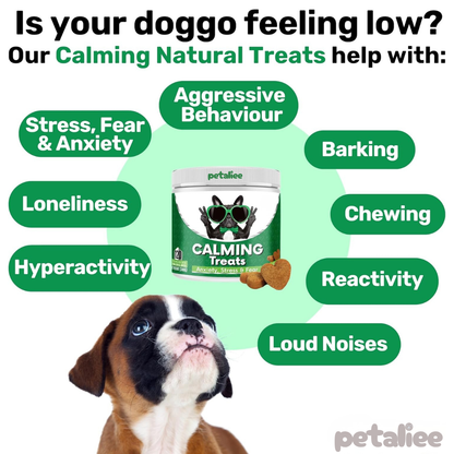 120 tasty calming treats for stress, anxiety & fear