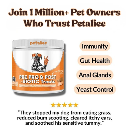 Triple-Biotic Treats