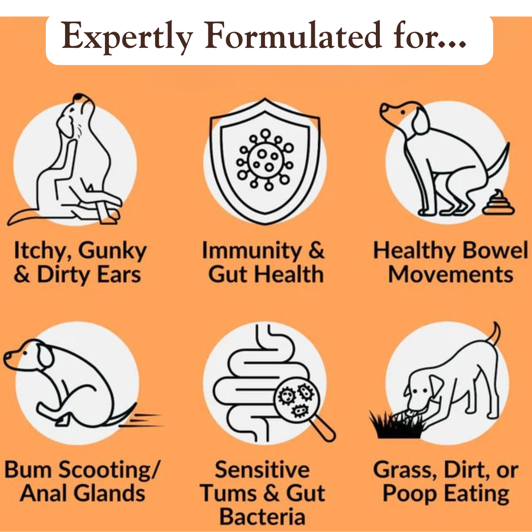 Triple-Biotic Treats