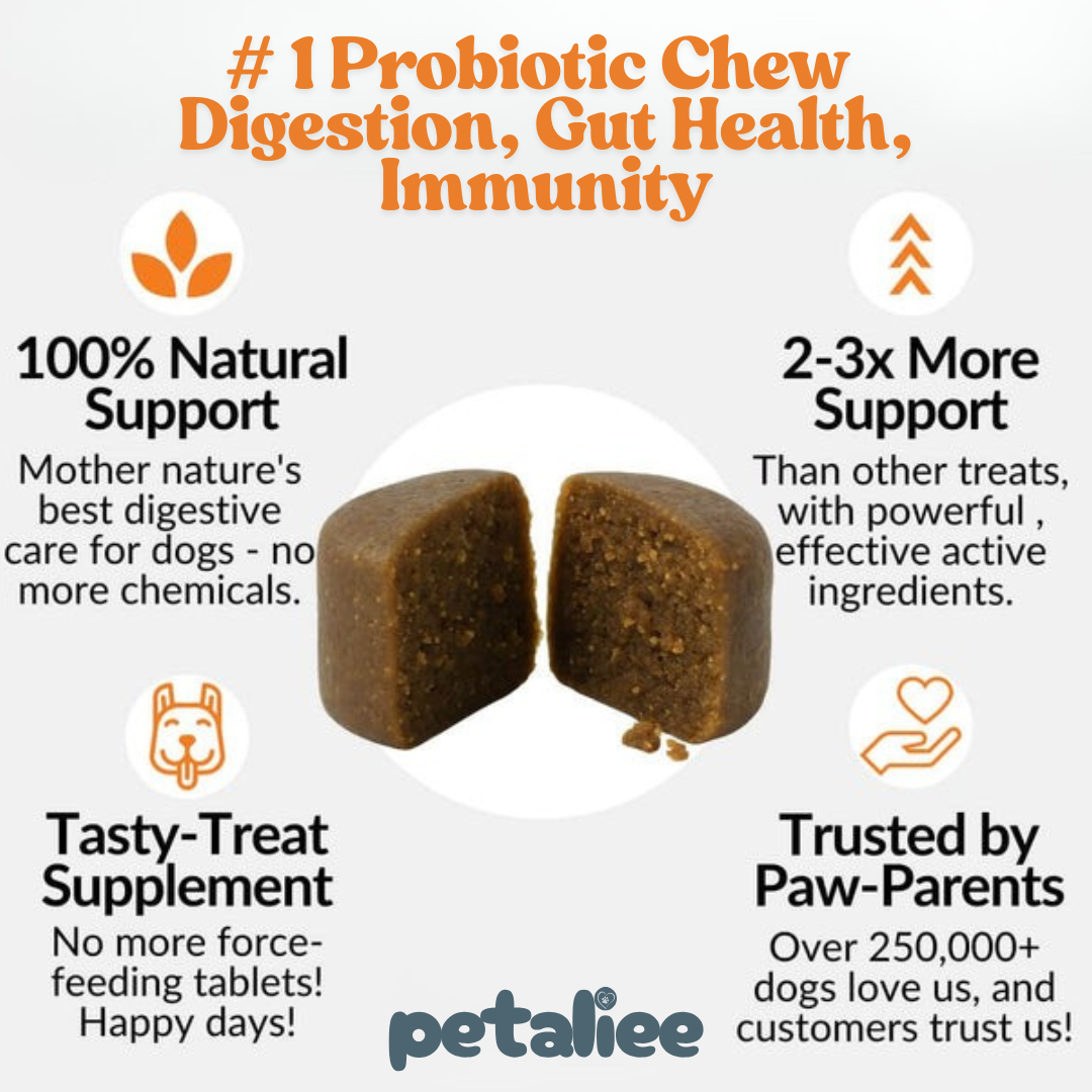 Triple-Biotic Treats