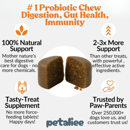 Triple-Biotic Treats